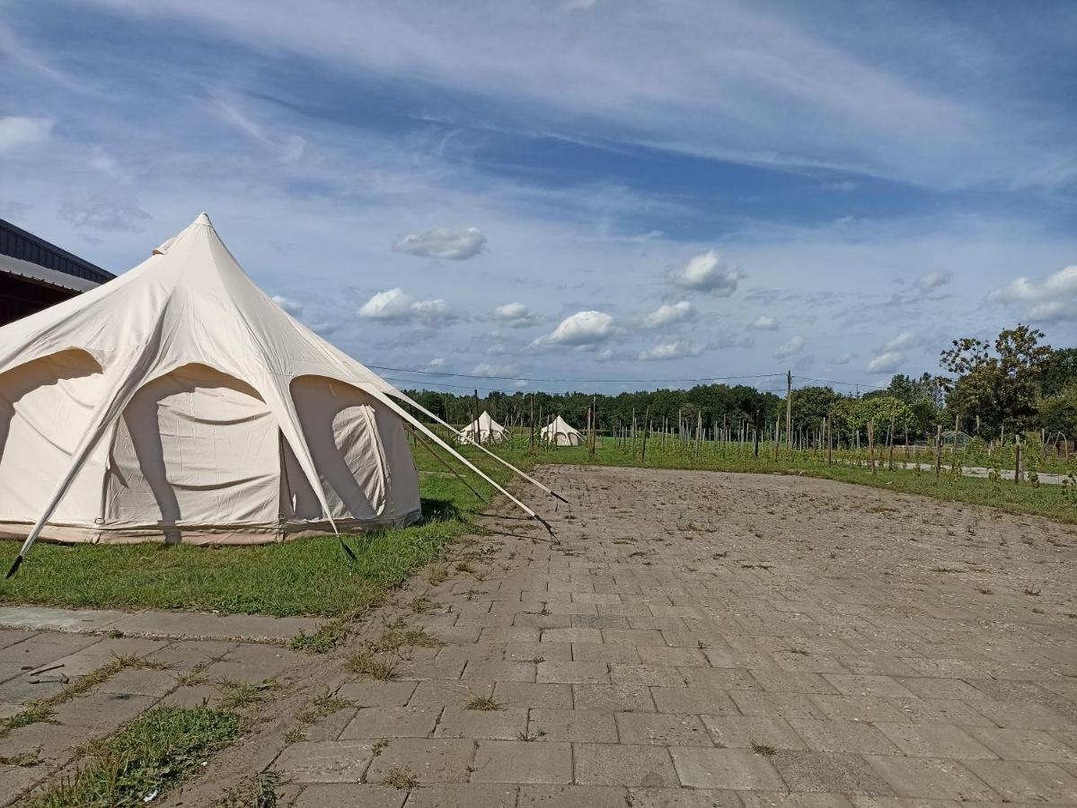 Natuur-Like Glamping In Bosland NeerNeerpelt 外观 照片